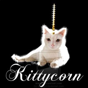 Meet your Posher, Anita